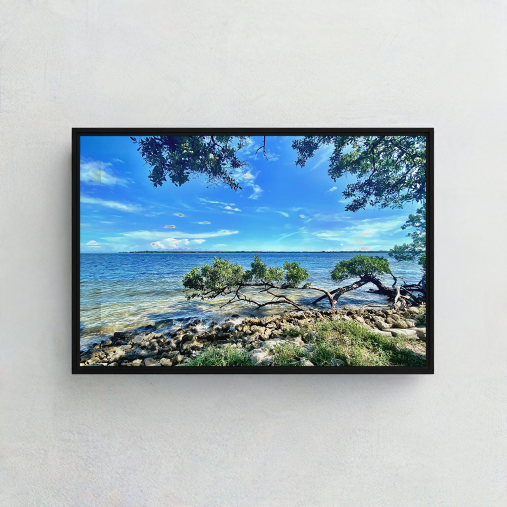 Mangroves at the Water's Edge – Framed Canvas Print
