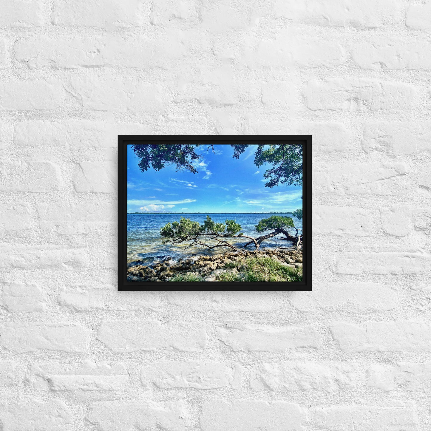 Mangroves at the Water's Edge – Framed Canvas Print