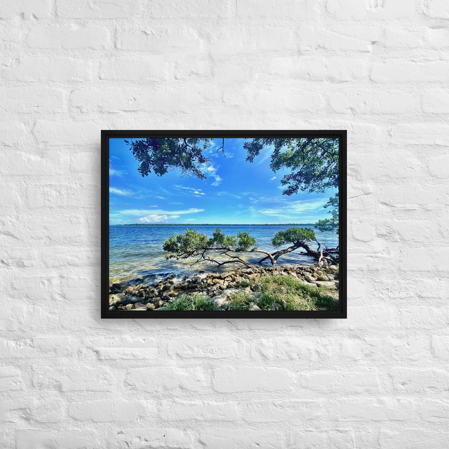 Mangroves at the Water's Edge – Framed Canvas Print