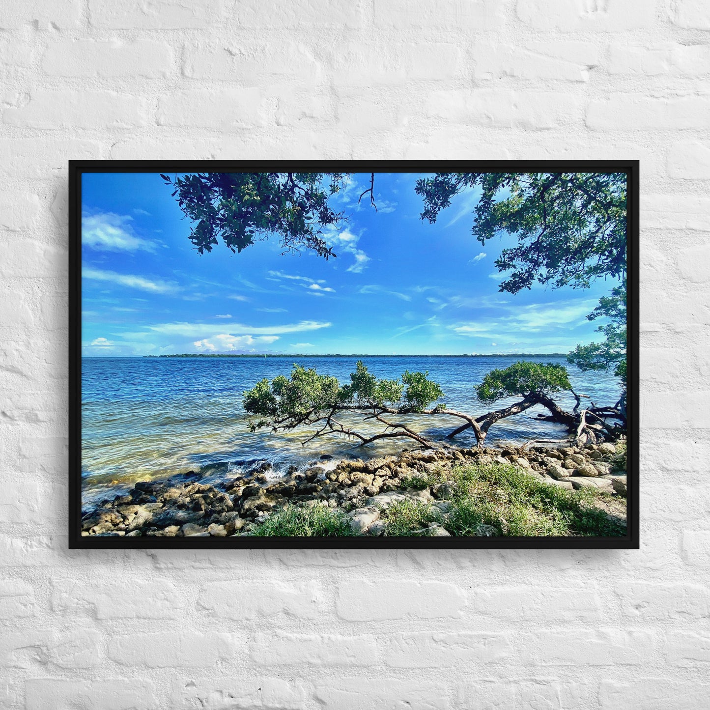 Mangroves at the Water's Edge – Framed Canvas Print