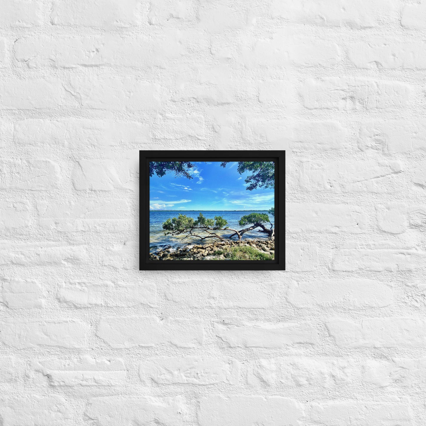 Mangroves at the Water's Edge – Framed Canvas Print