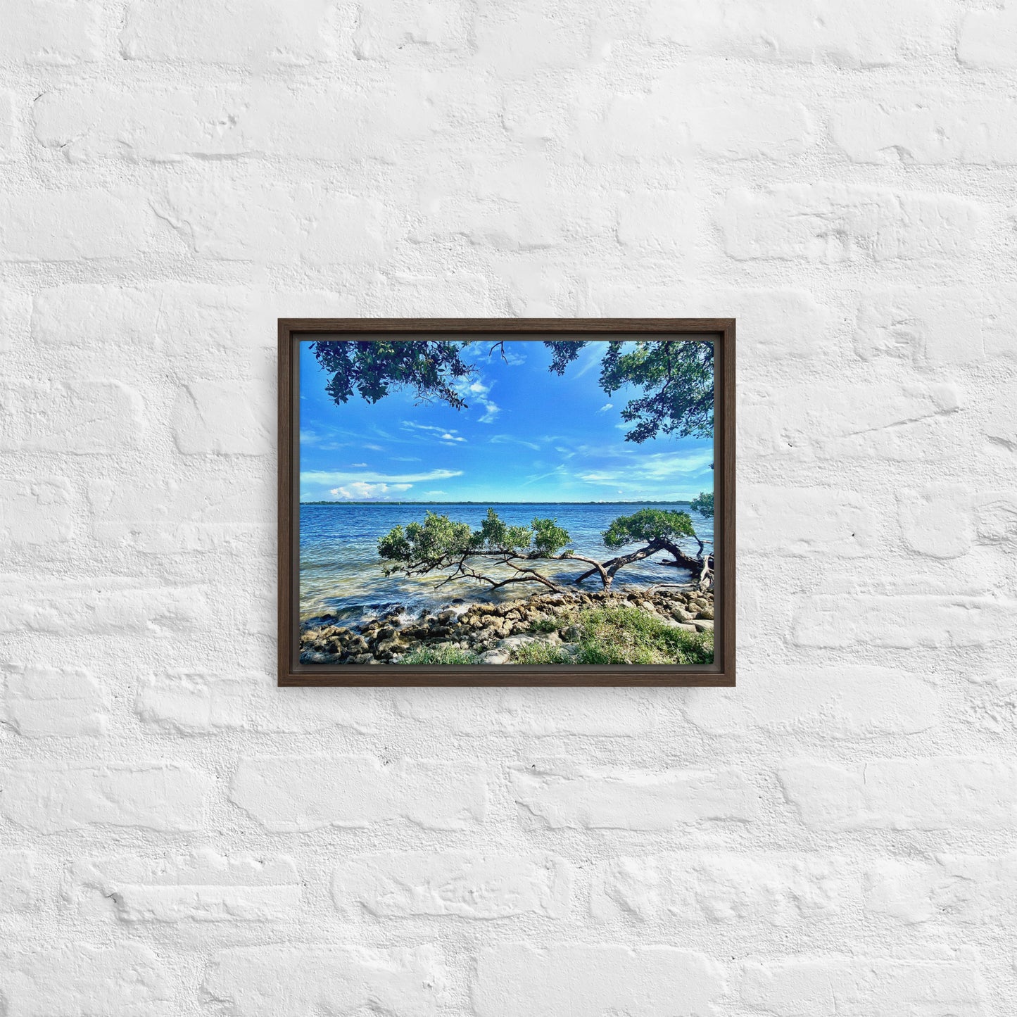 Mangroves at the Water's Edge – Framed Canvas Print