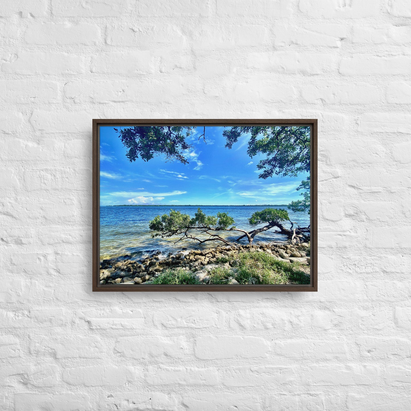 Mangroves at the Water's Edge – Framed Canvas Print