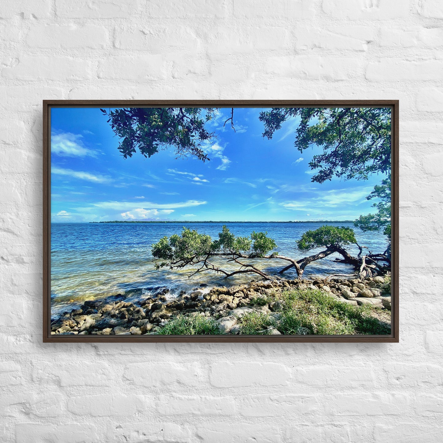 Mangroves at the Water's Edge – Framed Canvas Print