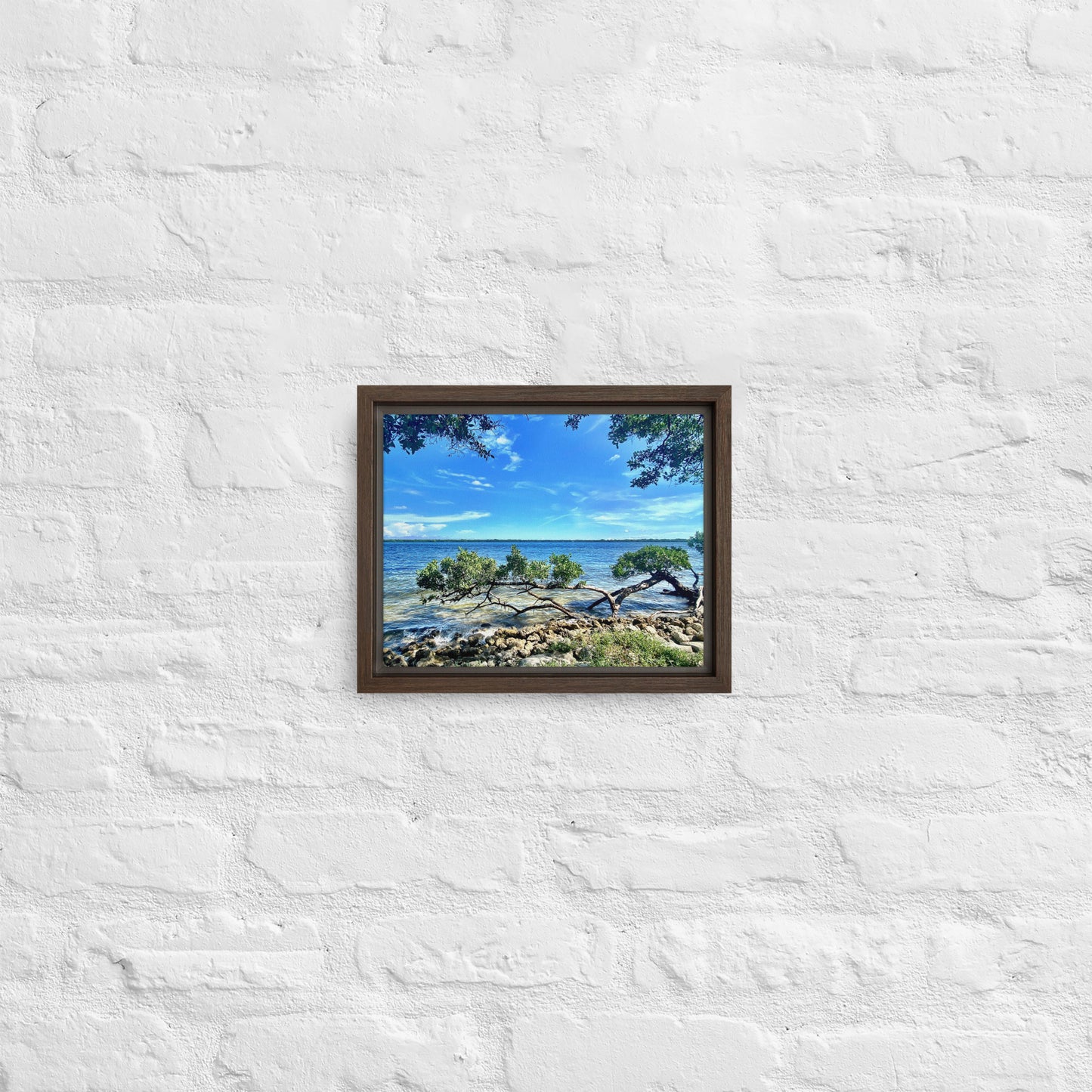 Mangroves at the Water's Edge – Framed Canvas Print