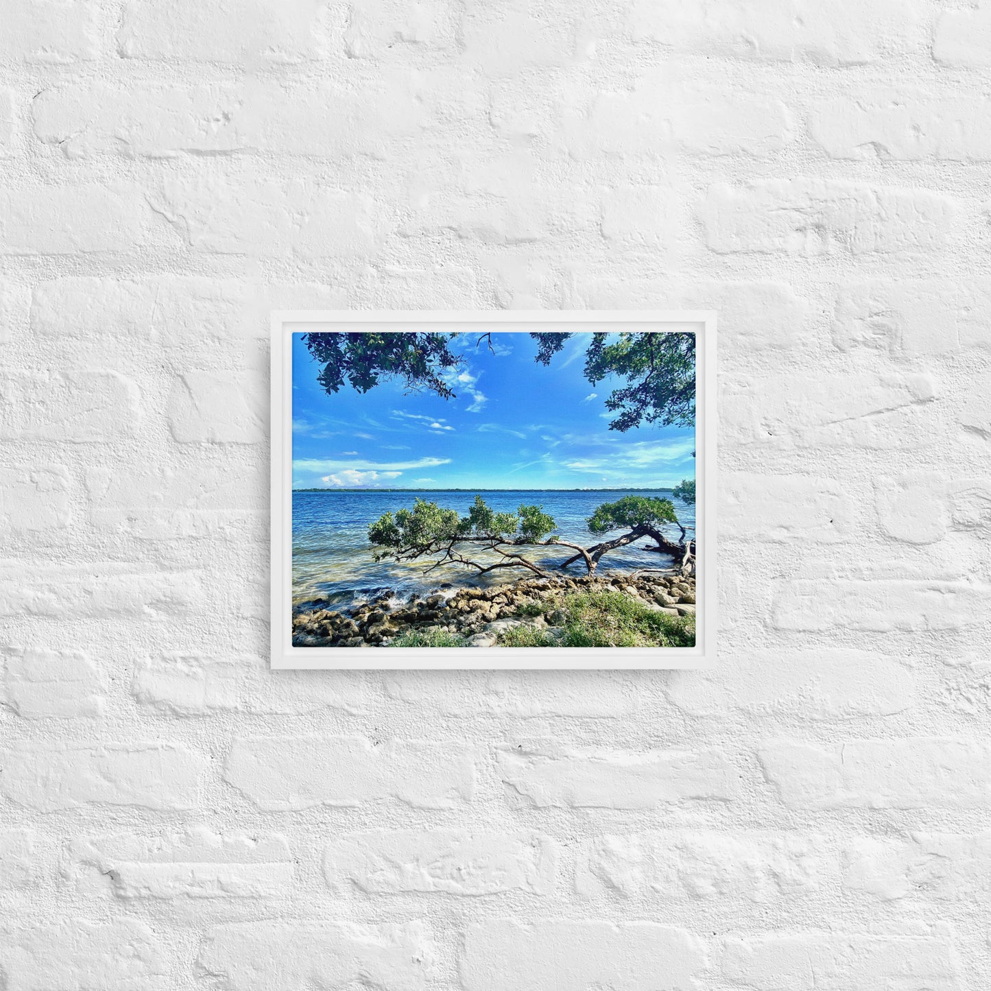 Mangroves at the Water's Edge – Framed Canvas Print