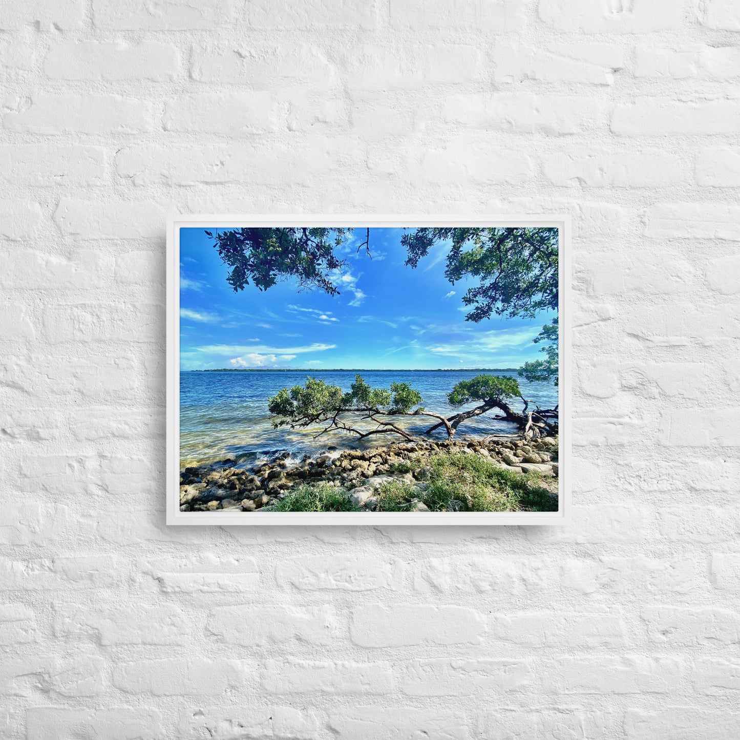 Mangroves at the Water's Edge – Framed Canvas Print