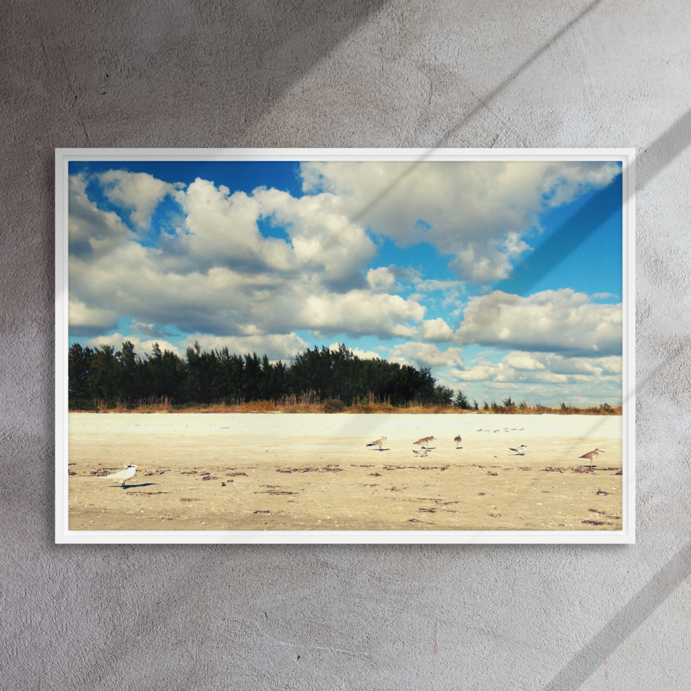 Shoreline Serenade: Gulls at Rest 24"x36"