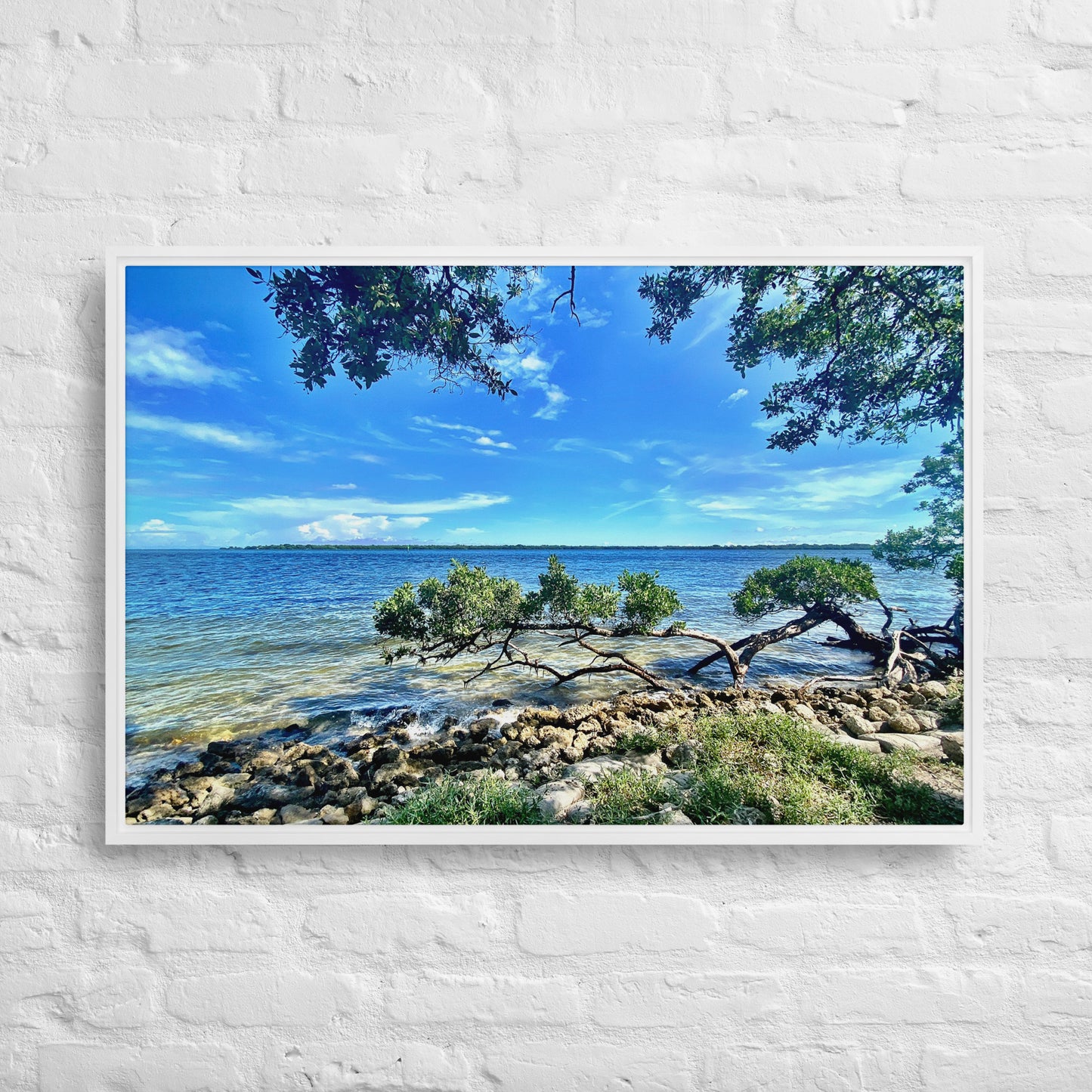 Mangroves at the Water's Edge – Framed Canvas Print