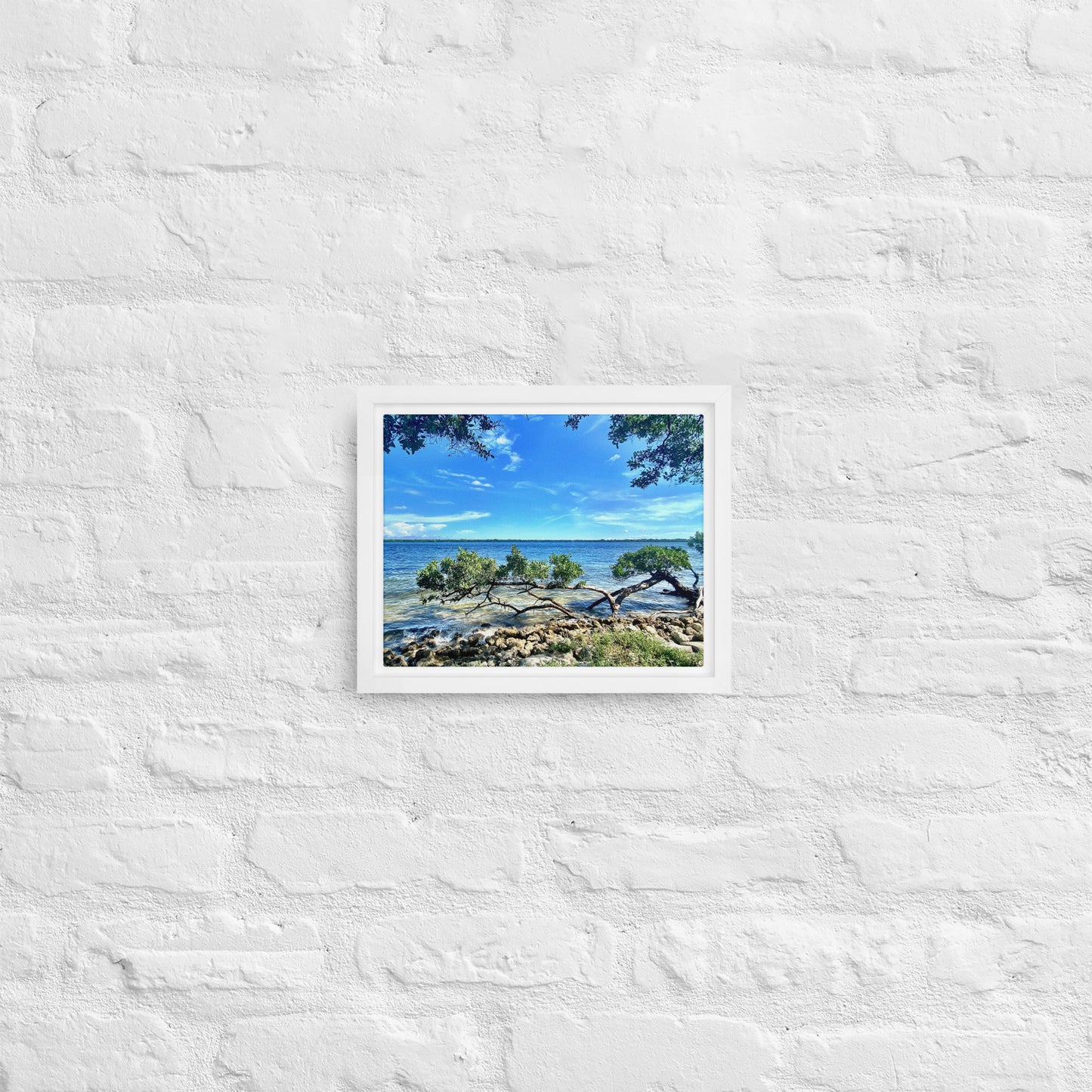 Mangroves at the Water's Edge – Framed Canvas Print